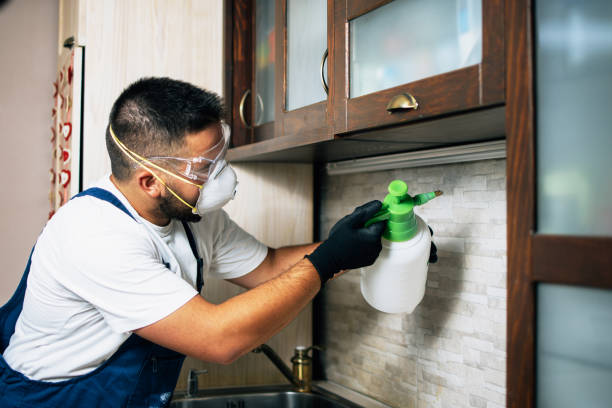 Best Insect Control  in Brandon, FL