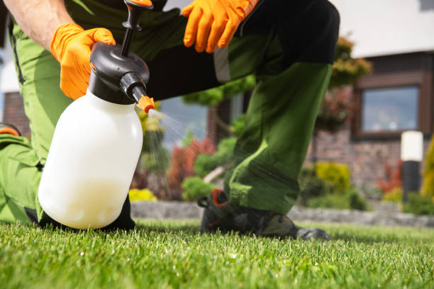 Best Residential Pest Control  in Brandon, FL