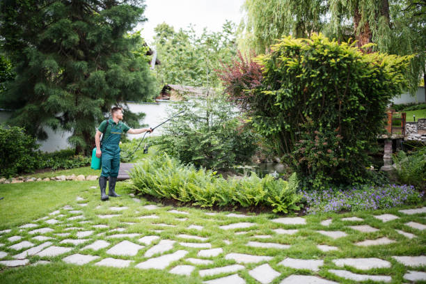Best Affordable Pest Control Services  in Brandon, FL
