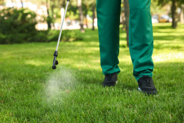 Best Termite Control Services  in Brandon, FL