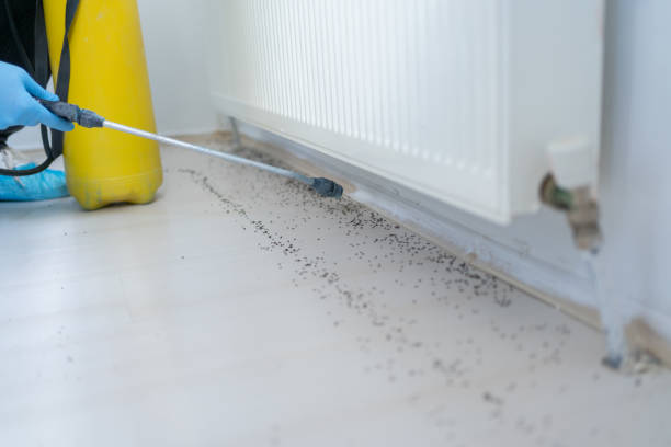 Best Best Pest Control Companies  in Brandon, FL