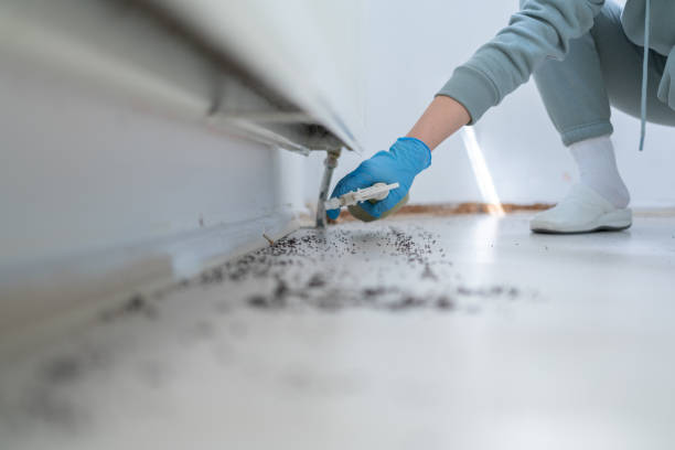 Best Bed Bug Extermination  in Brandon, FL